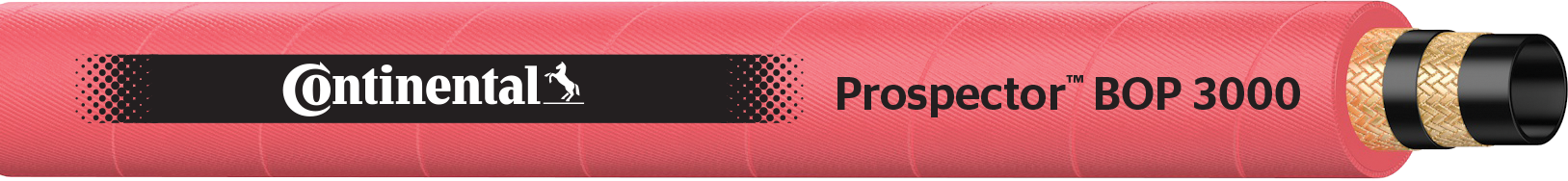 PROSPECTOR&trade; BOP 3000