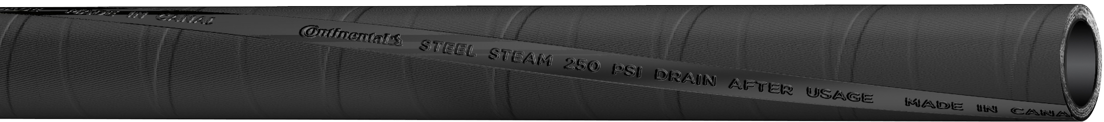 STEAM 250